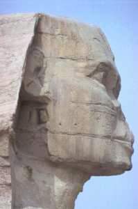 Profil Sphinx