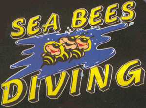 Sea Bees Logo